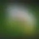 Zagraj Let It Ride z Playtech w {"id":42,"name":"Nine Casino","design":{"logo":"nine-logo.gXQkzc.svg","favicon":"nine-favicon.qraE6N.png","banner_poker":"nine-poker.xjOxKh.webp","banner_mobile":"nine-mobile.i12mrr.webp","block_bg_color":"#161D37","image_bg_color":"#27272a","banner_bg_color":"#161D37","block_text_color":"#ffffff","primary_bg_color":"#060E2A","banner_text_color":"#fff","footer_logos_type":"white","block_round_radius":"0.5rem","primary_text_color":"#ffffff","button_round_radius":"0.75rem","banner_welcome_bonus":"nine-welcome-bonus.yz19hL.webp","primary_button_bg_color":"#E4580A","primary_button_text_color":"#f8fafc","secondary_button_bg_color":"#5E7CE8","secondary_button_text_color":"#020617"},"created_at":"2025-05-14T09:25:22.000000Z","updated_at":"2025-05-14T09:25:22.000000Z","deleted_at":null}